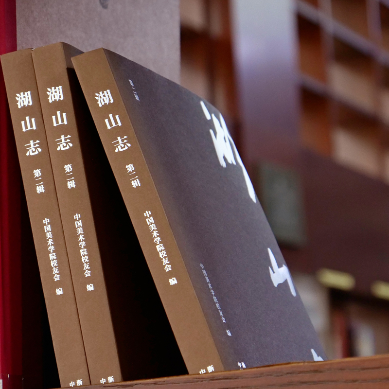 [正版]湖山志(第二辑)中国美术学院校史回忆录 中国美术学院的历史与文化 浙江摄影出版社高清大图