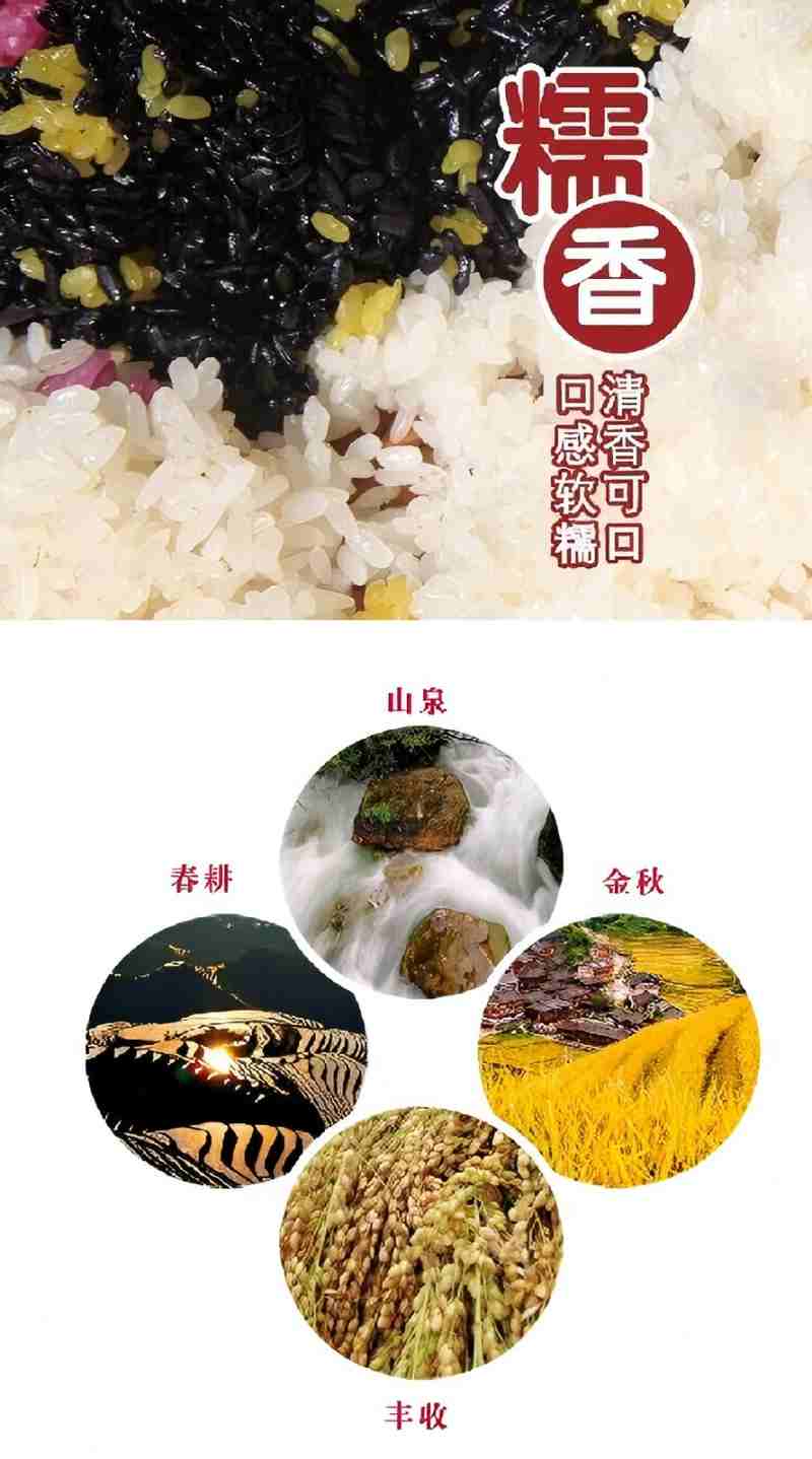 古耕龙脊大白糯1公斤高清大图