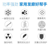 飞科电吹风机FH6266电风吹家用吹风筒罩恒温负离子宠物大功率发廊冷热风理发店专用 FH6266