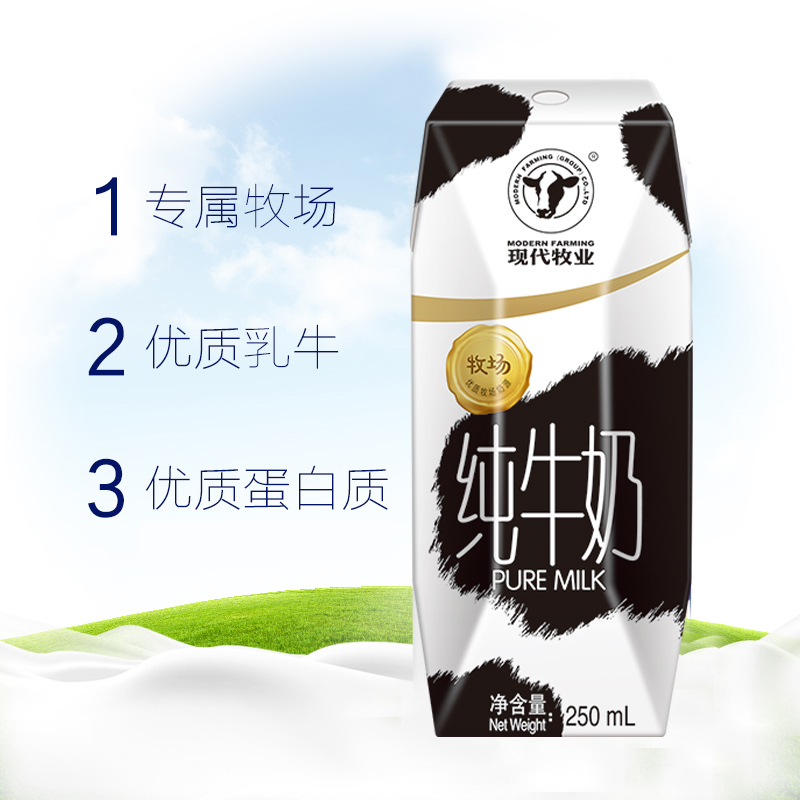 现代牧业 纯牛奶 250ml×12盒 礼盒装