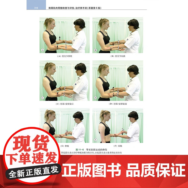 佩蒂肌肉骨骼检查与评估 原著第6版 迪翁 赖德 江苏凤凰科学技术出版社 9787571352356高清大图