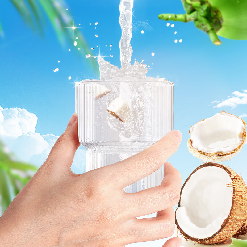 南国海南特产椰子水250ml/瓶NFC果汁饮料 非浓缩 0脂肪植物电解质 250mL*6盒南国椰子水高清大图
