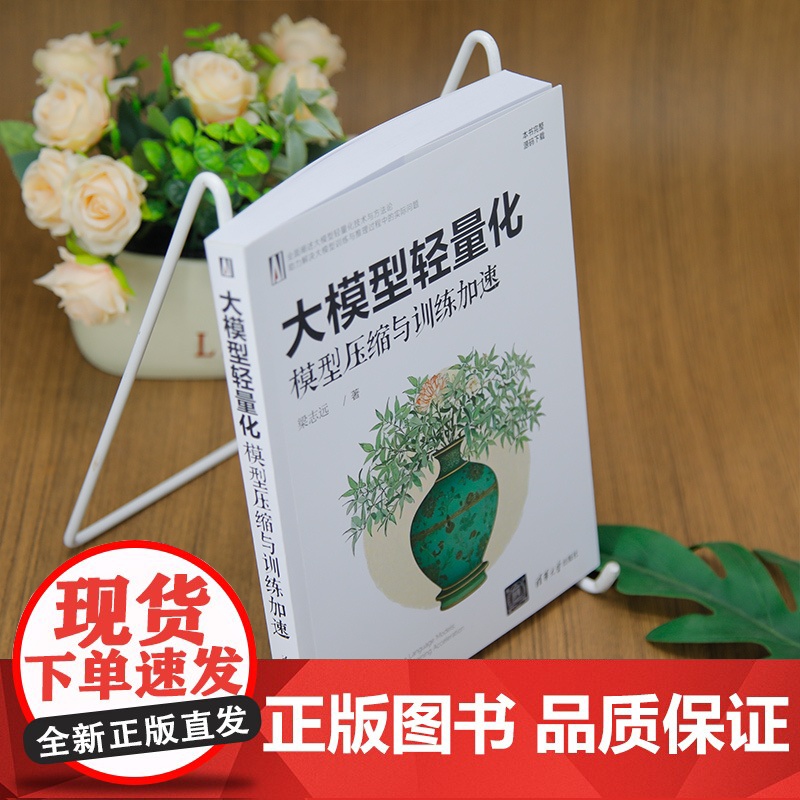 [正版新书]大模型轻量化:模型压缩与训练加速 梁志远 清华大学出版社 计算机高清大图