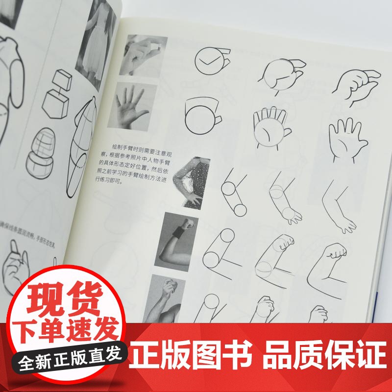 萌力满满 Q版人物插画临摹集 二次元插画基础入门小白自学教程 Q版人物表情动态人体结构造型技法高清大图