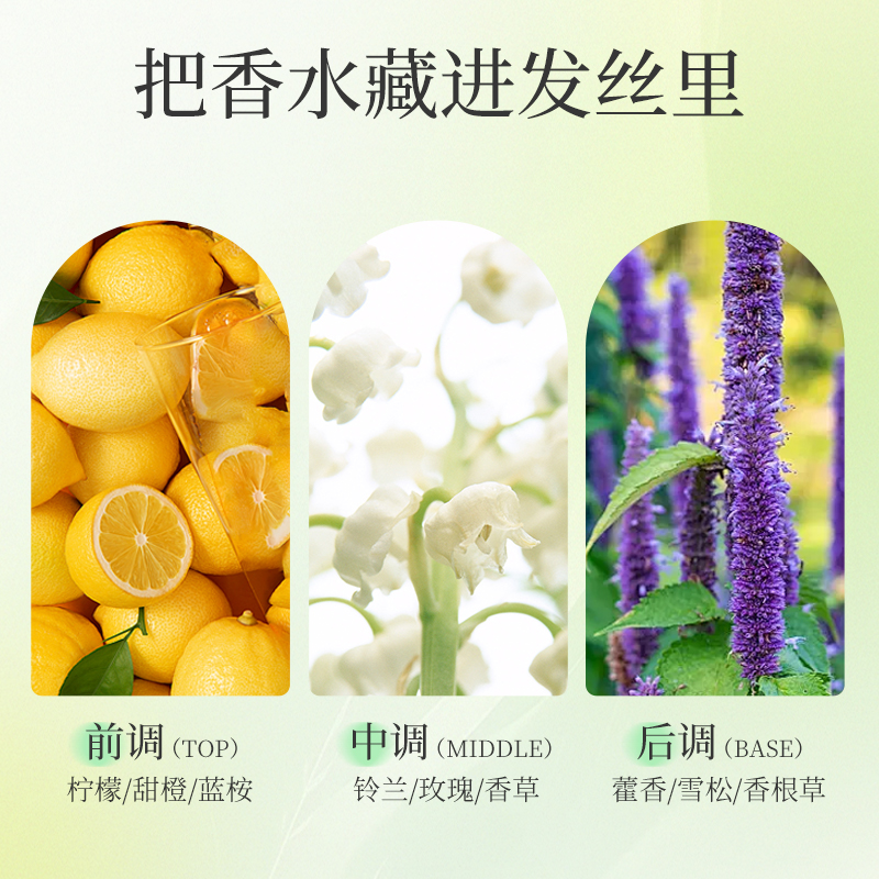 安贝儿植物精粹养护洗发露(干性发质)压泵款460ml 植物精粹养护洗发露洗发水沐浴露护发精油植物精粹洗护套装高清大图