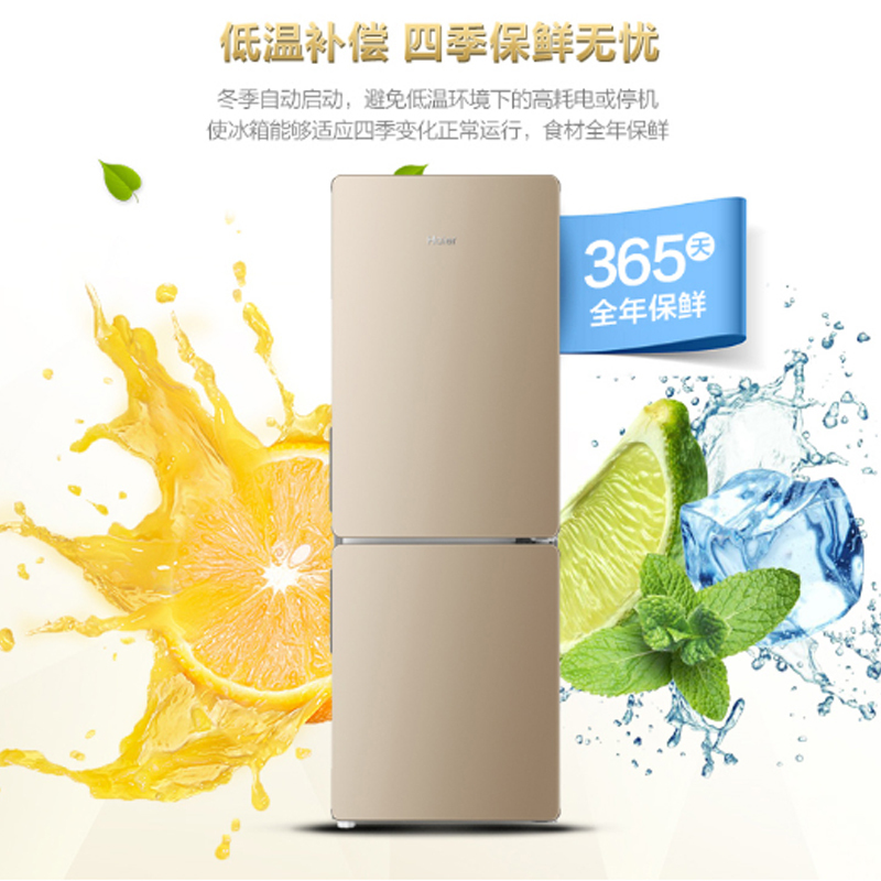 海尔(Haier)170升两门冰箱 风冷无霜 净味保鲜 低温补偿 租房小冰箱 BCD-170WDPT高清大图