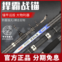 捍太郎捍尊鱼竿远投可视锚杆超轻超硬挂鱼专业专用巨物套装