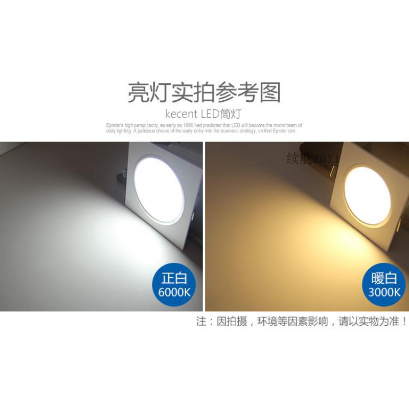 格栅筒灯15X15方形铁铝格子led双头10*20公分葡萄架专用6寸黑射灯