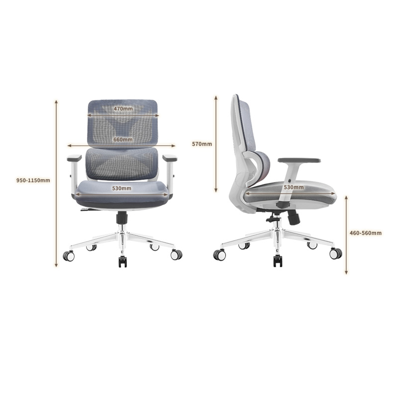 臻远 ZY-8940 办公椅人体工学椅转椅 定型棉白框 单位:把高清大图