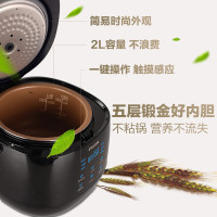 飞利浦（Philips）电饭煲HD3160家用迷你智能预约电饭锅底盘加热不粘涂层内胆2L太空黑可制作酸奶HD3060升级