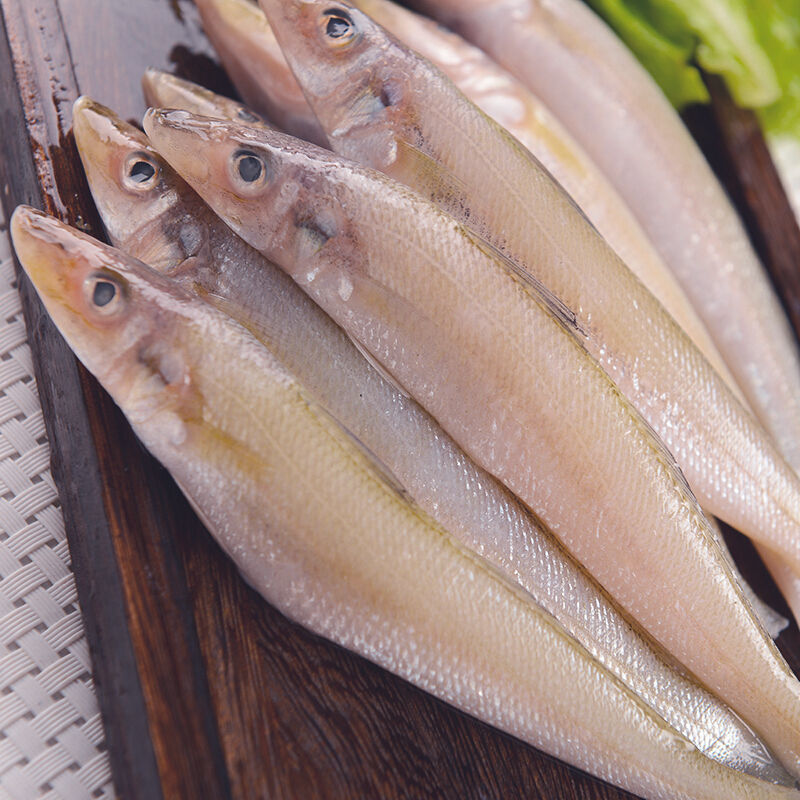 赛卡伊沙丁鱼新鲜冻货批发青岛深海鱼鲨丁鱼海捕沙尖鱼沙梭鱼大个2斤