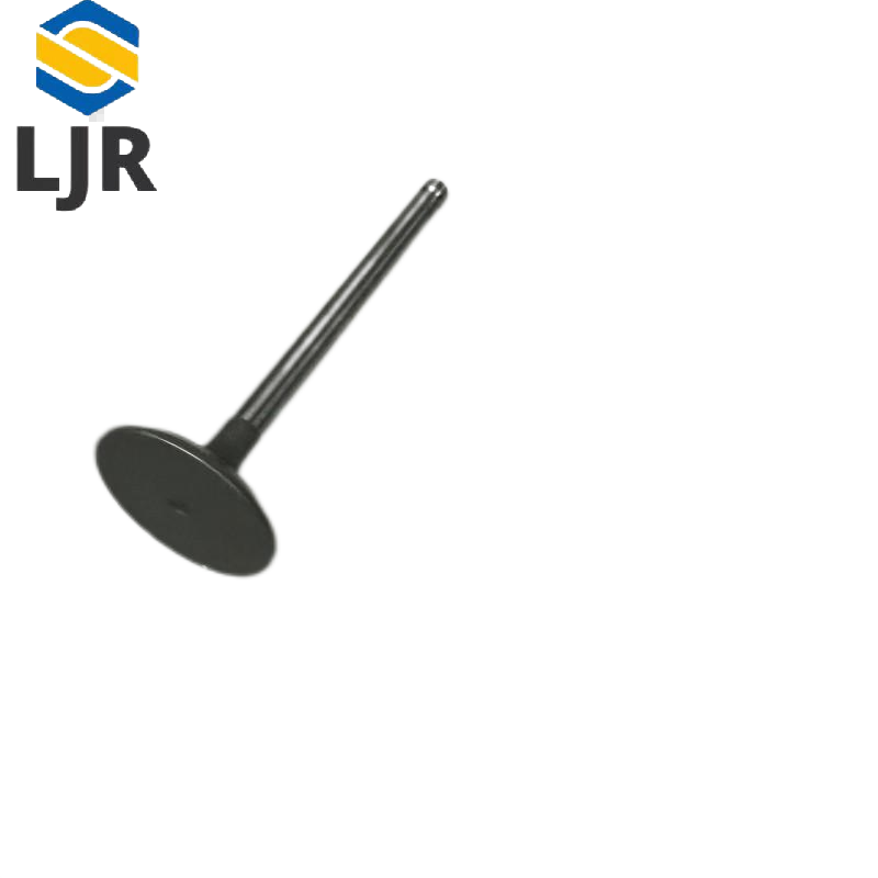 利冀尔 进排气阀 LJE - GX系列通用 个高清大图