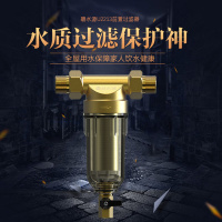 碧水源 前置过滤器 全屋管道中央净水机 长寿命 高精度过滤 大流量 U2213