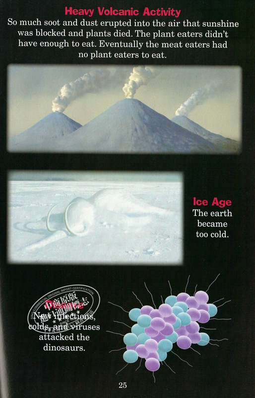 [正版]中商原版谁会赢?霸王龙与迅猛龙 英文原版 Tyrannosaurus Rex Vs. Velociraptor高清大图