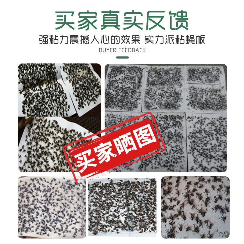 绿叶粘蝇胶(20张) 粘蝇纸苍蝇贴强力杀灭蝇粘虫板家用室内灭蝇药捕蝇神简装器高清大图