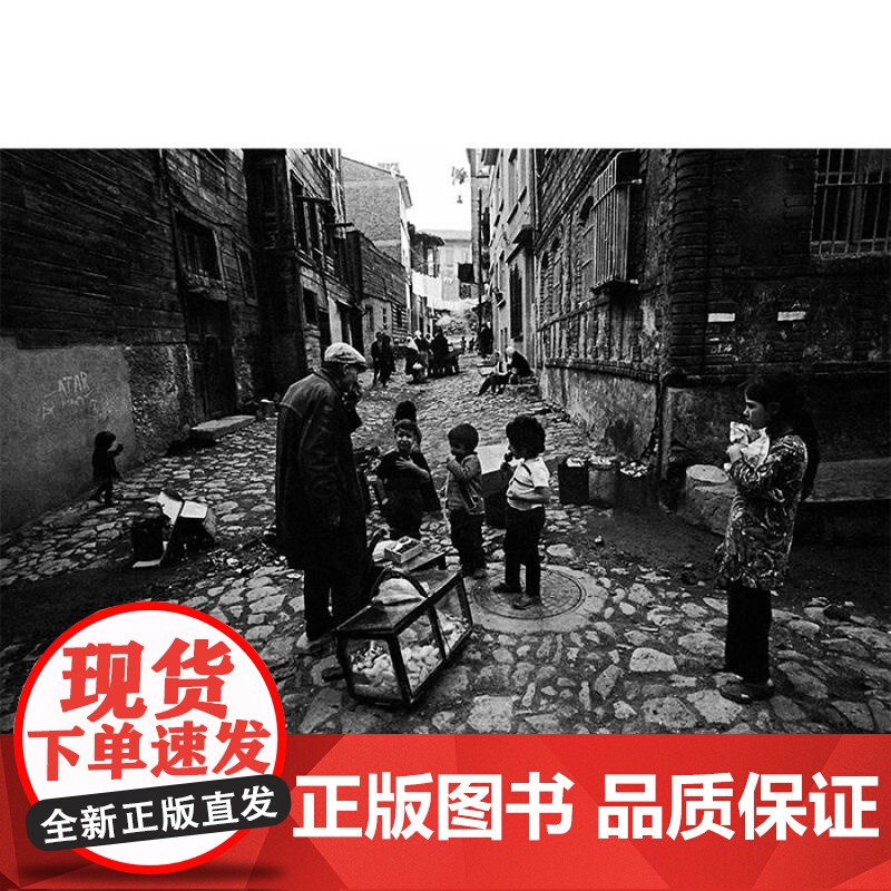 伊斯坦布尔一座城市的记忆/阿拉古勒的伊斯坦布尔 读城系列城市视觉摄影集外国欧美图片记忆世纪文景高清大图