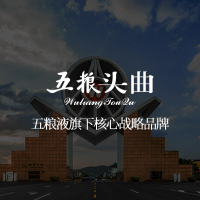 五粮液总厂产五粮头曲年份小酒45度100ml*24整箱 浓香型白酒