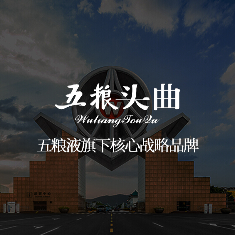 五粮液总厂产五粮头曲年份小酒45度100ml*24整箱 浓香型白酒