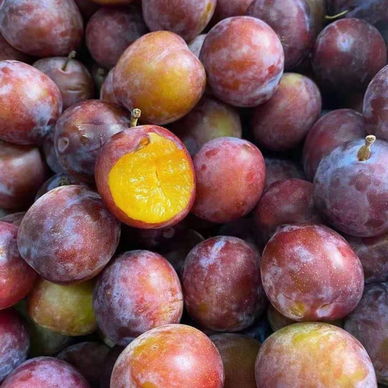 进口西梅250g±30g(盒)