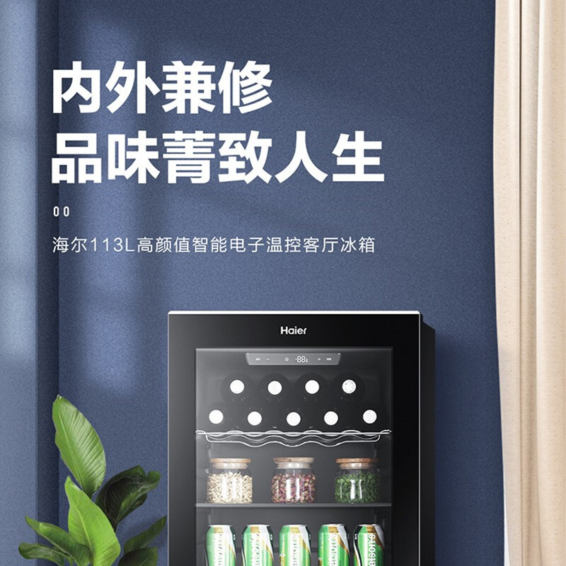海尔冰吧家用冷藏柜 智能除露 客厅办公室冰箱小型冷藏保鲜茶叶柜 [2022年款]113升