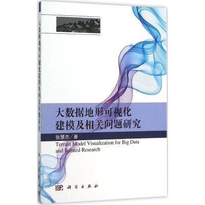 11大数据地形可视化建模及相关问题研究978703046218322