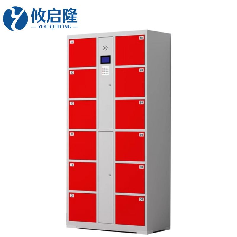 攸启隆12门智能储物柜850*460*1800mm台高清大图
