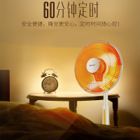 格力(GREE)取暖器 家用小太阳速热柔光电热扇 摇头送暖烤火炉 台地两用高度可调宿舍定时节能电暖器 FGH-10B