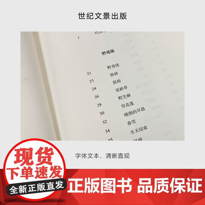 月光的合金 2020诺贝尔文学奖露易丝格丽克 另著直到世界反映了灵魂最深层的需要 欧美诗歌诗集文学 柳向阳译 正版图书籍高清大图
