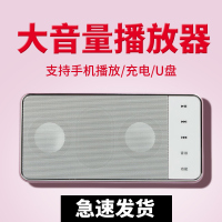 熊猫(PANDA) DS130播放器老人fm收音机便携式插卡儿童音乐音响外放可充电插卡U盘播放机唱戏 紫色
