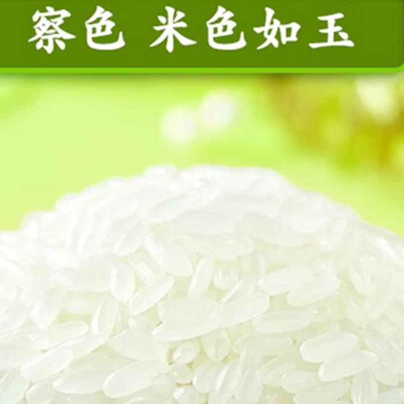 十月稻田 生态稻香大米 5kg 东北大米 5kg 香米 十斤高清大图