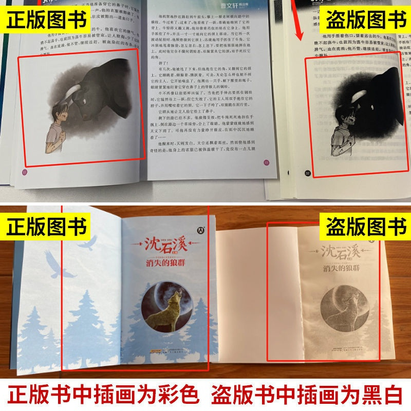 钟书图书了不起的大作家杨鹏精品集中国当代文名家童书大赏安武林