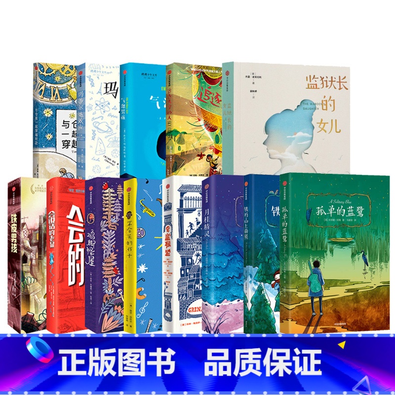 第一辑+第二辑 套装13册 【正版】7-12岁我爱读国际大奖小说系列 全9册 辑 国际大奖小说儿童文学获奖 少年冒险童