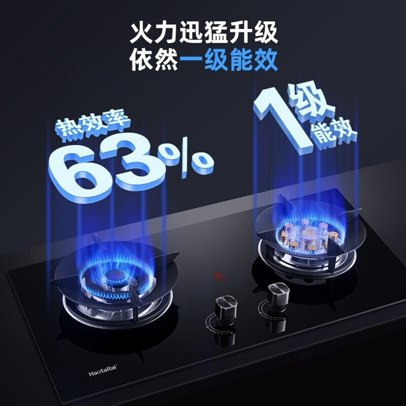 Haotaitai用心爱好太太燃气灶双灶家用嵌入式天然气炉灶台液化气台式 2199 燃气灶4.8kw鸳鸯九头灶-液化气