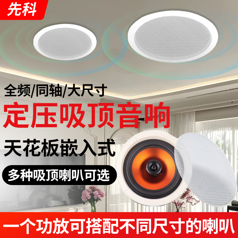 先科30W吸顶吊顶壁挂喇叭同轴吊球防水音柱天花消防音箱监控定压音响P-50高清大图