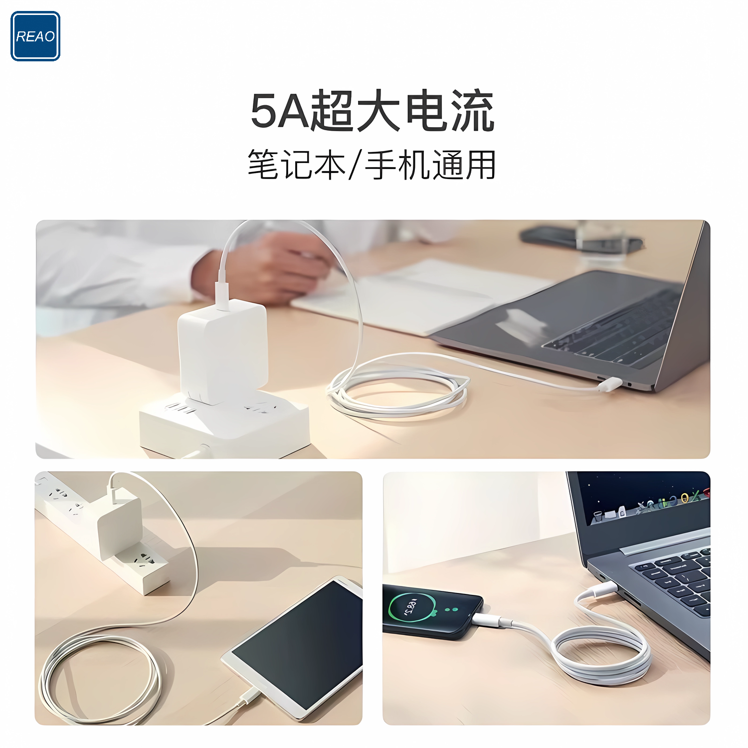 泺澳(REAO) 双TYPE-C口快充数据线X15白色高清大图