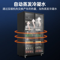 星星优品 IVGC-2D-6019W-U商用冷藏展示柜630升冰柜风冷无霜保鲜饮料啤酒柜酒吧超市KTV全屏玻璃款