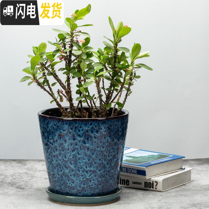 三维工匠花盆菊花盆栽盆多肉花盆陶透气花盆创意花盆陶瓷绿萝盆花盆兰花盆 SY-绿口扫纹 外直径[约22.5cm]花盆容器高清大图