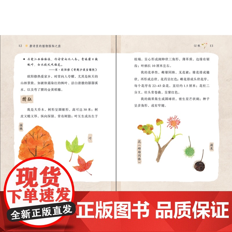 [店]唐诗里的植物探秘之旅 2024暑期读一本好书植物美绘、古典文学、经典诵读、自然科普高清大图