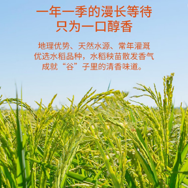 万年贡 珍香丝苗米鲜谷现磨籼米5kg(单位:袋)低氧保鲜包装高清大图
