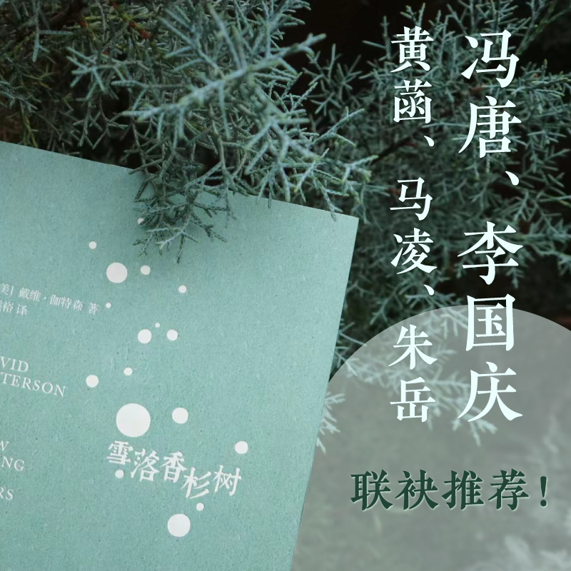 [正版]雪落香杉树 戴维伽特森 著 赠书签 冯唐 李国庆 黄菡 马凌 朱岳等 1995年福克纳奖作品 美国当代文学经典