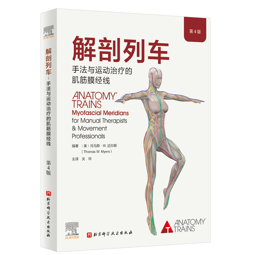 [正版]解剖列车 手法与运动治疗的肌筋膜经线 第4版 新版上市 筋膜释放技术 筋膜研究在躯体训练中的应用 北京科学技术高清大图