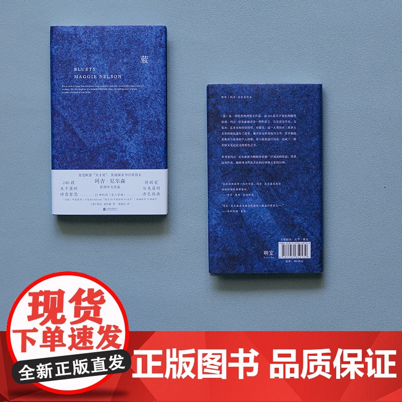蓝 关于蓝色的240段哲思 美国国家图书奖得主玛吉 尼尔森著 翁海贞译 哲思性散文作品 外国抒情诗歌文学书籍 正版书籍高清大图
