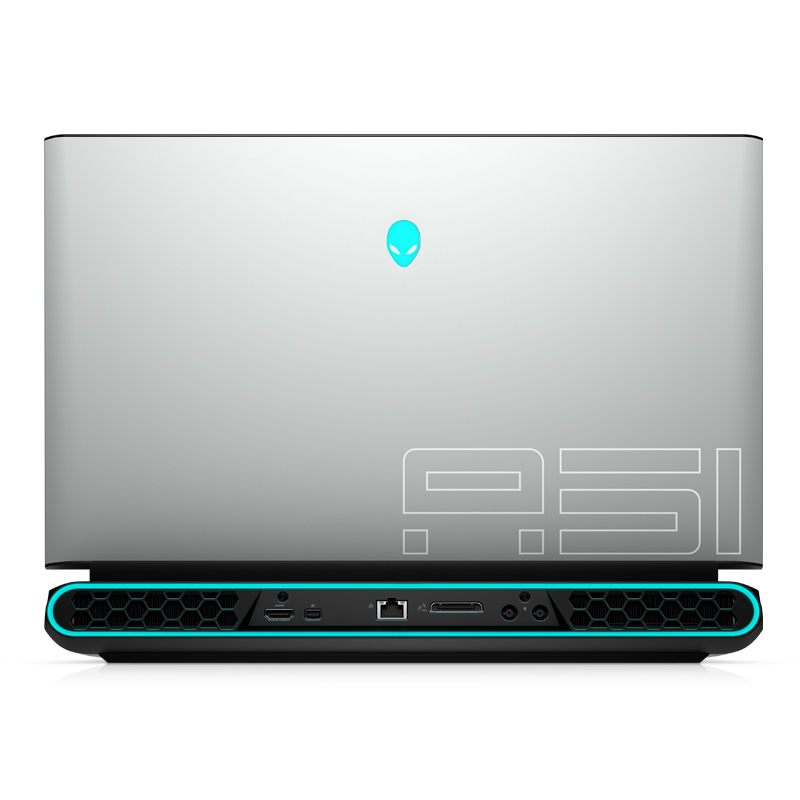 外星人(Alienware)ALWA51M-R1966W 17.3英寸游戏笔记本电脑(i7-9700K 16G内存 双512G固态 8G独显 )