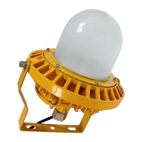 鼎晟丰(DSF)DSFF-910-100 100W AC110-240V IP66 ExdIICT6 Gb 6000K LED防爆平台灯(计量单位:盏) 黄色