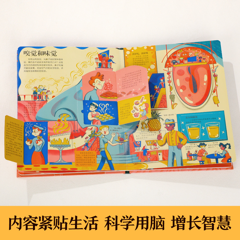 [正版] 揭秘翻翻书系列揭秘大脑儿童3D立体翻翻书3-6-8-10岁以上小学生科普百科全书科普启蒙故事机关绘本高清大图