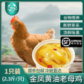 [苏鲜生推荐]三物纪 皖南金凤黄油老母鸡2.3-2.6斤/只 1只装 新鲜现杀冷冻农家慢养走地鸡