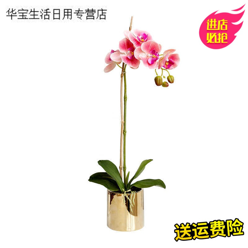 帝梦香假花仿真花盆栽摆设装饰假花花艺仿真花蝴蝶兰绢花花瓶手感客厅家居装饰餐桌
