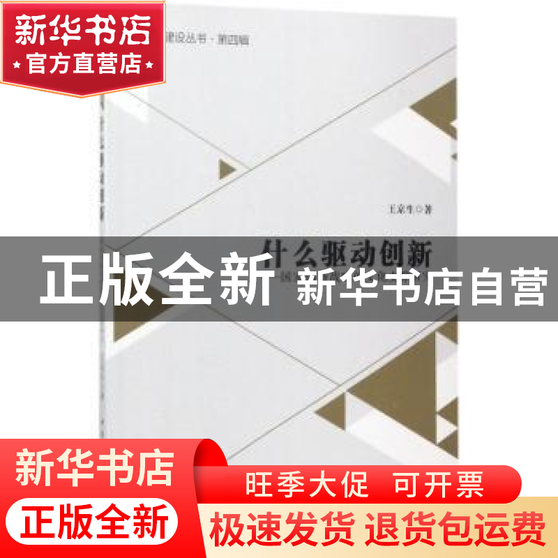 正版 什么驱动创新:国家创新战略的文化支撑研究 王京生著 中国高清大图