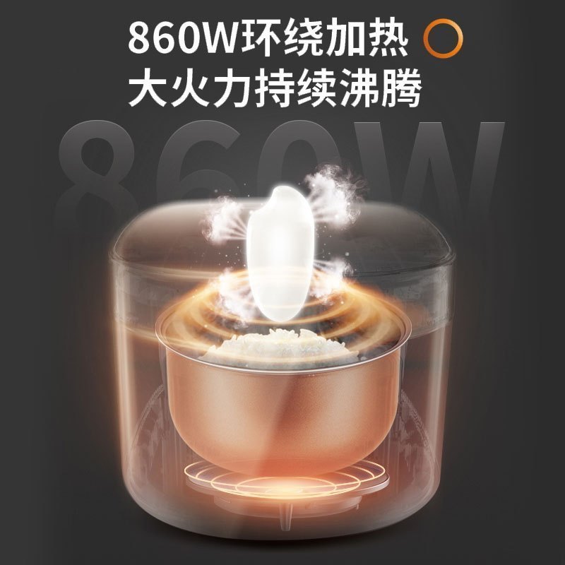 九阳(Joyoung)电饭煲 F-50FZ821 5L 大火力 柴火饭 智能预约 多功能 焖煮防溢 家用电饭煲高清大图
