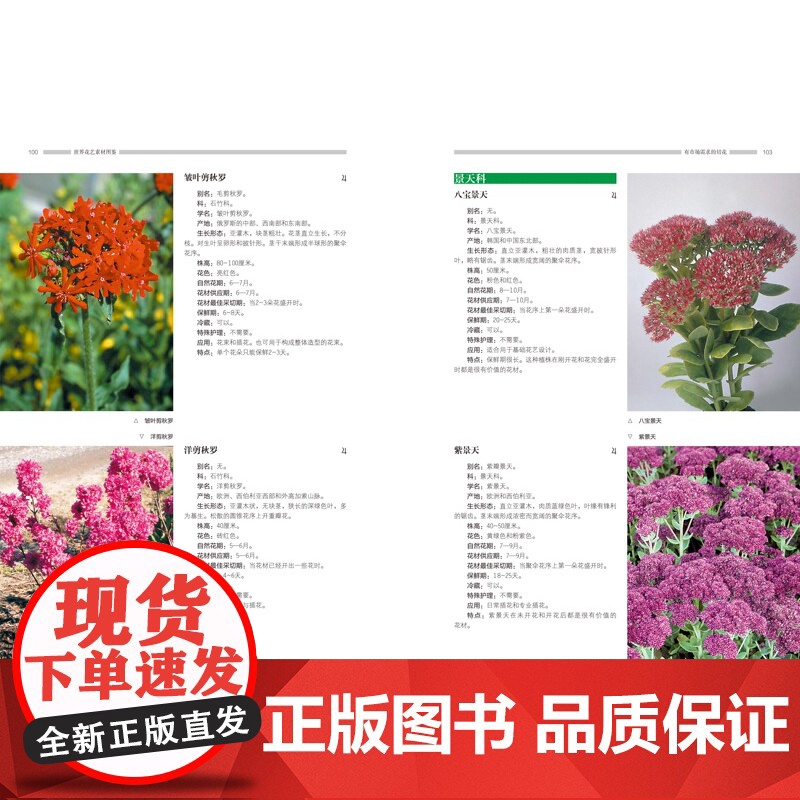 世界花艺素材图鉴 养花种花必备 国际通行植材应用手册 花店人必备手册 德国职业学校经典教材 北京科学技术高清大图